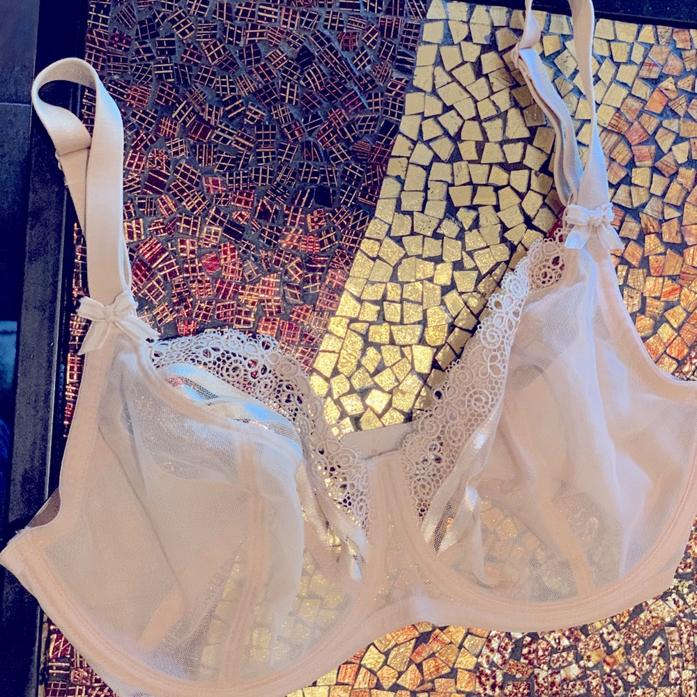 Wacoal Nude Sheer Lace Underwire Bra (32DDD)